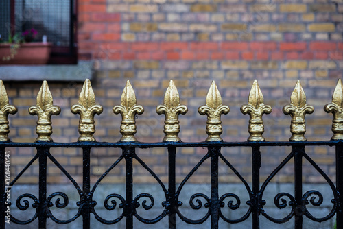 Photography Classic black metal fence with golden tips as background
