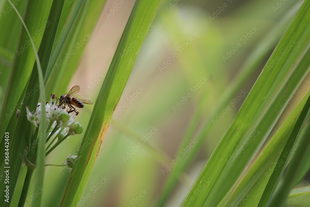 Nature Nature
