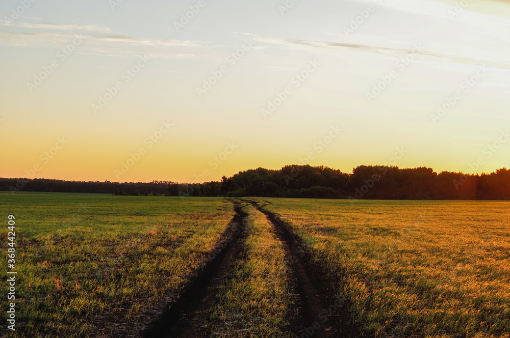 Obraz premium sunset over the field