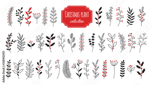 Hand drawn vector christmas floral elements. Branches and plants botanical collection. Element isolated on white background.