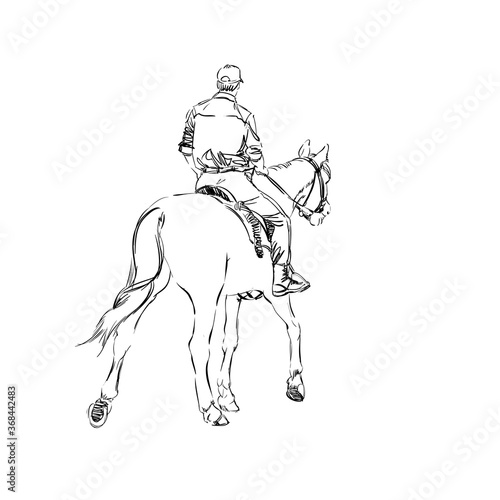 A Horsemen and Horse. Young Ranger. Freehand Monochrome Drawing of Animal and People. Linear Graphic. Realistic Pen Drawing Imitation. Vector Illustration. Mounted Constabulary. Animal Art © Antonina