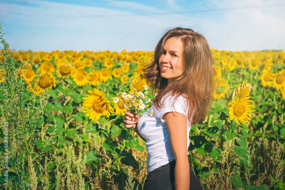 Young brunette woman in a field of sunflowers at sunrise. Portrait of a young beautiful European woman in the sun. Young brunette woman in a field of sunflowers at sunrise. Portrait of a young beautiful European woman in the sun.
