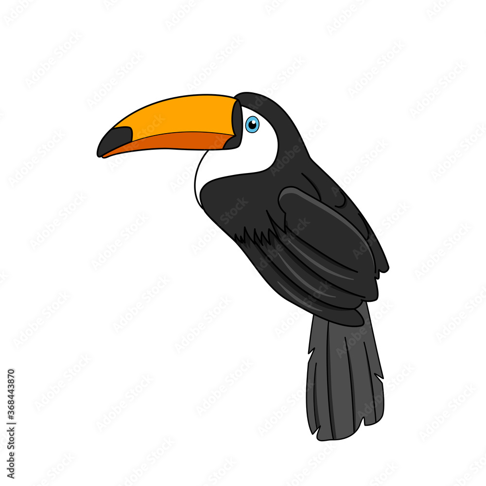 Naklejka premium Toco toucan bird vector design, tropical bird.