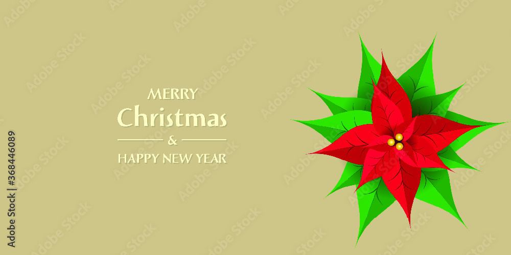 Christmas and New Year greeting card with Christmas star flower. Vector EPS10