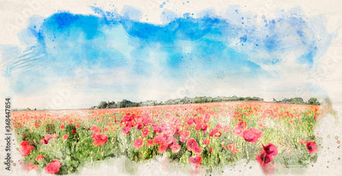 Poppy field landscape watercolor image