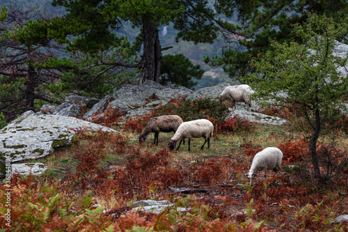 Cloudy views in mountains in Thassos island