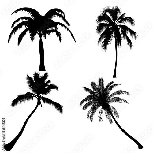 set palm trees isolate on white background
