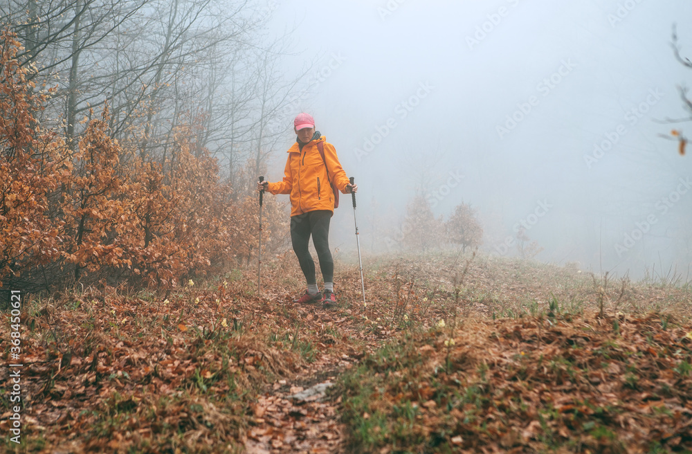 Dressed bright orange jacket young female backpacker walking by the touristic path using trekking poles in autumn foggy forest. Active people and autumnal moody vacation time spending concept image.