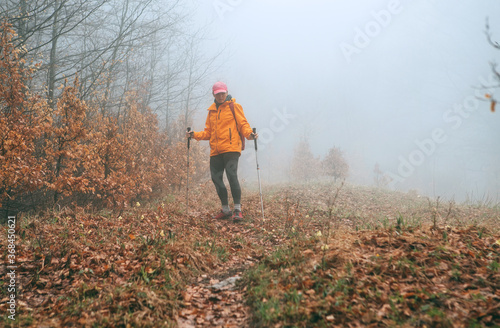 Dressed bright orange jacket young female backpacker walking by the touristic path using trekking poles in autumn foggy forest. Active people and autumnal moody vacation time spending concept image.