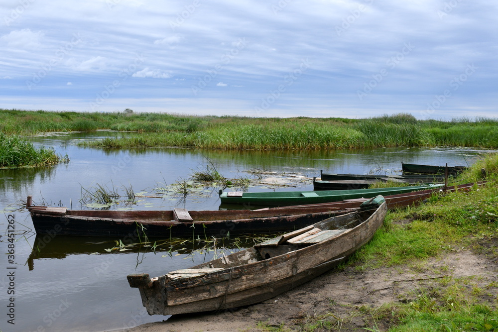 Close up on a set of old abandoned wooden ships, kayaks or barges parked next to the sandy coast of a river or lake next to a large amount of reeds seen on a cloudy moody day in Poland