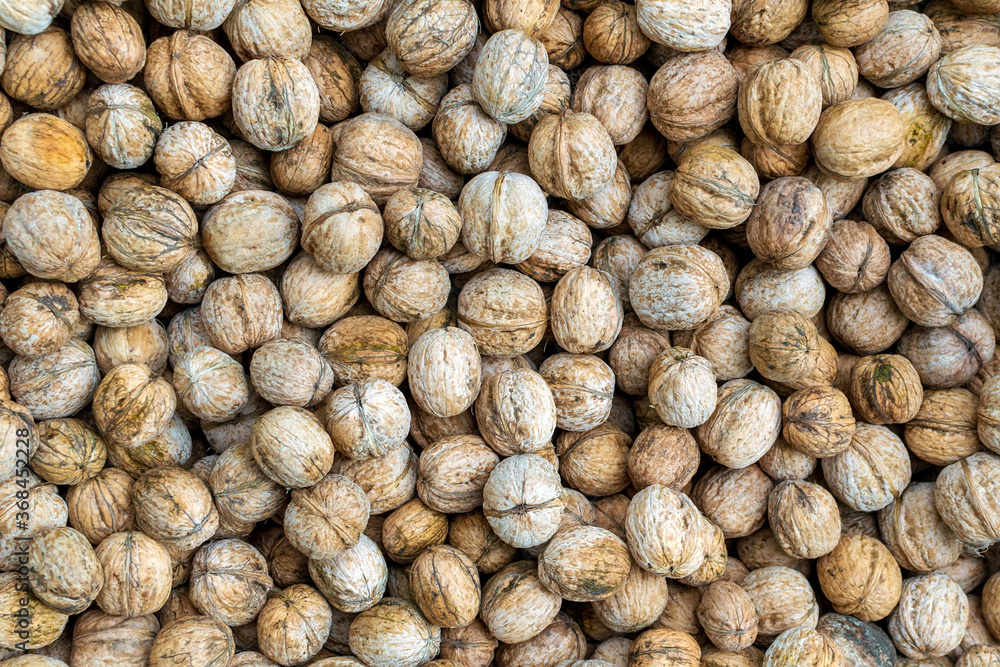 walnuts nuts under hard sun. Top view. Background for seasonal, vegan and healthy eating. walnuts nuts under hard sun. Top view. Background for seasonal, vegan and healthy eating.