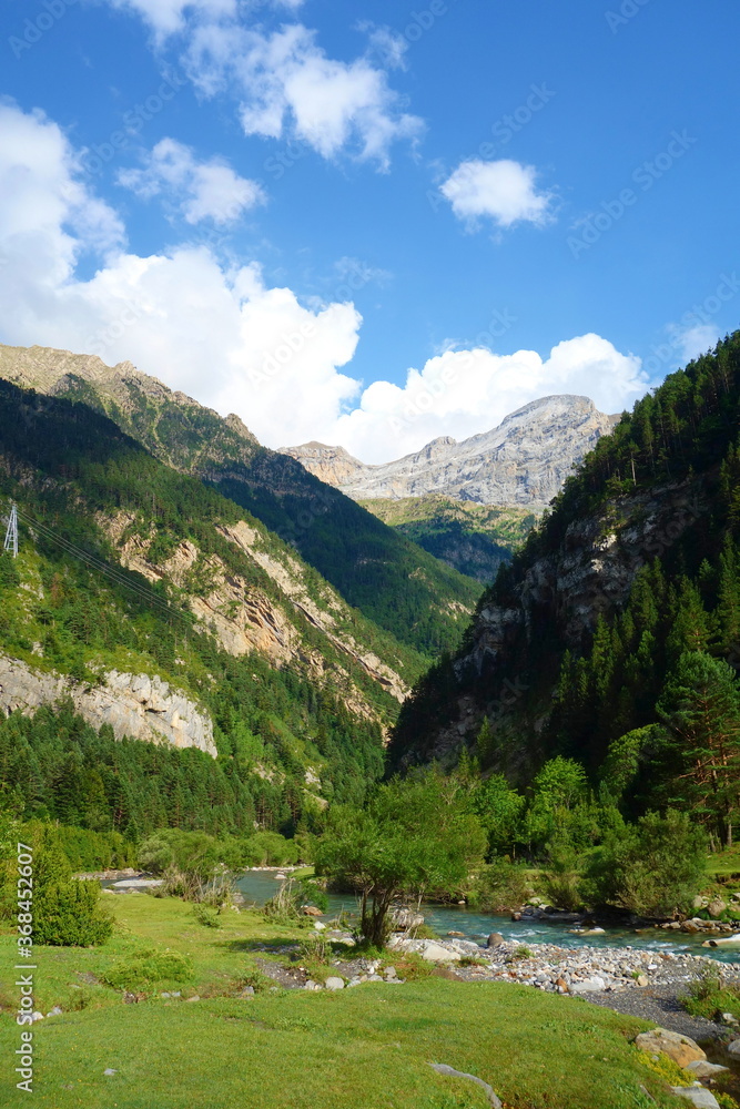 Landscape with the Ara river in the Bujaruelo valley, Aragonese Pyrenees, bordering the Ordesa and Monte Perdido National Park, Huesca