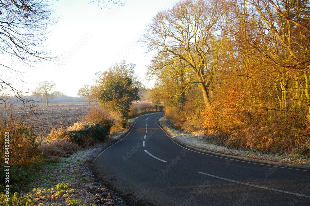 A view along a county road on a frosty morning in Essex, England, UK. A view along a county road on a frosty morning in Essex, England, UK.