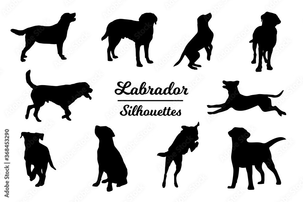 Labrador dog silhouettes. Black and white outline