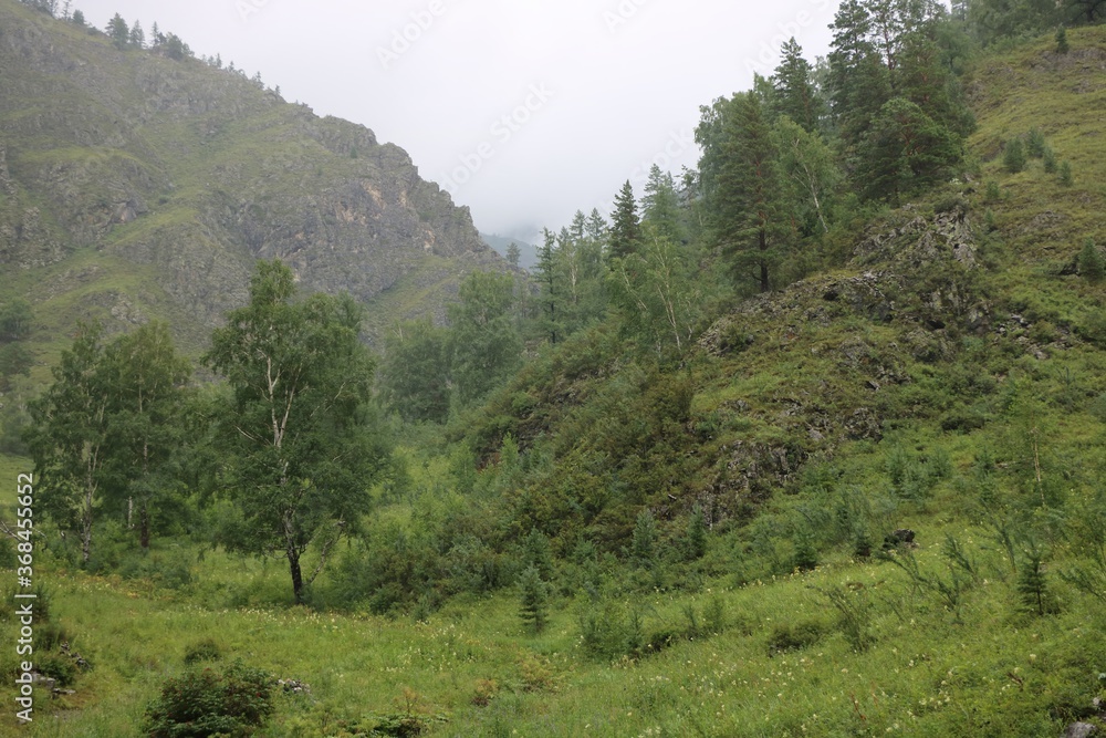 Landscape with mountains on Altai Landscape with mountains on Altai