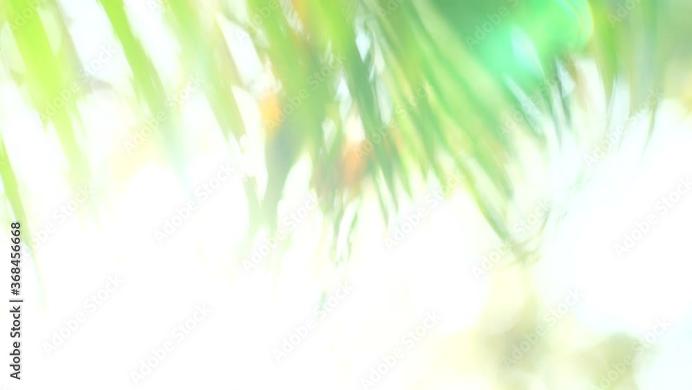 Blurred background bokeh from leaves and sunlight. Nature view of green leaf on blurred greenery background in garden with copy space, Green fresh nature wallpaper concept. Blurred background bokeh from leaves and sunlight. Nature view of green leaf on blurred greenery background in garden with copy space, Green fresh nature wallpaper concept.