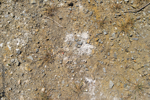 Soil. Ground texture. Soil background. Abstract nature pattern. Stony ground. Green grass