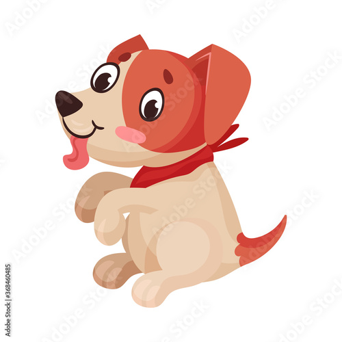 Funny Jack Russell Terrier Character Sitting and Wriggling Tail Vector Illustration