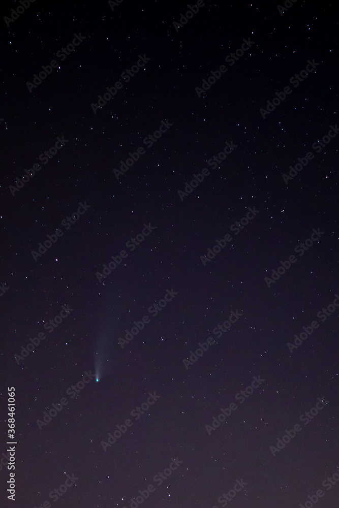 Fototapeta premium Cometa Neowise