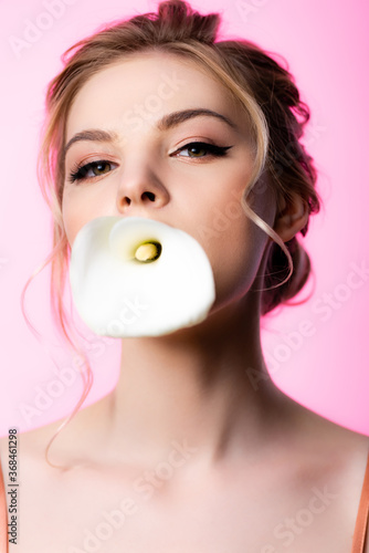 beautiful blonde woman holding calla flower in mouth isolated on pink