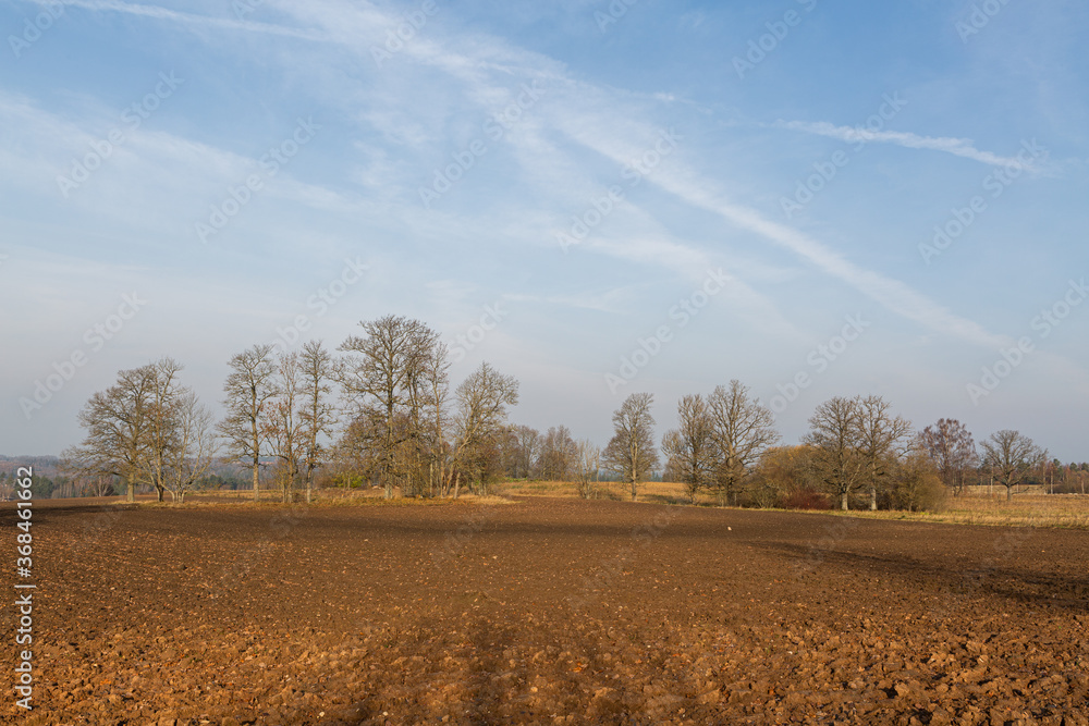 autumn landscapes with clouds, fields and forests