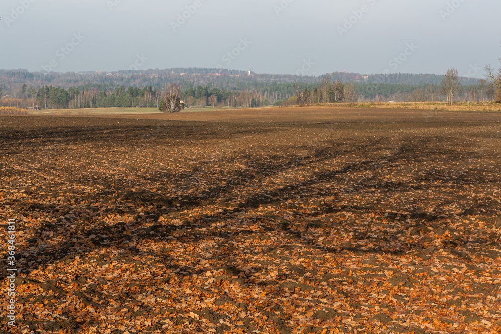 autumn landscapes with clouds, fields and forests autumn landscapes with clouds, fields and forests