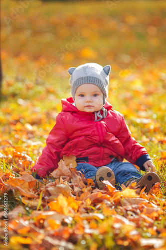 happy boy and fallen leaves playing in autumn park.