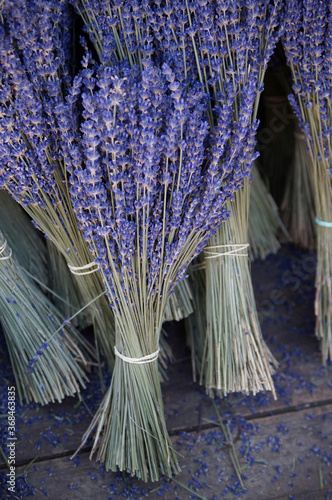 Closeup shot of the dried bunches of lavender flowers