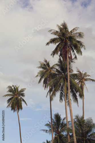 Copy space of tropical coconut palm tree with blue sky and clouds abstract background. Concept for summer vacation and travelling business. Vintage tone filter effect color style.