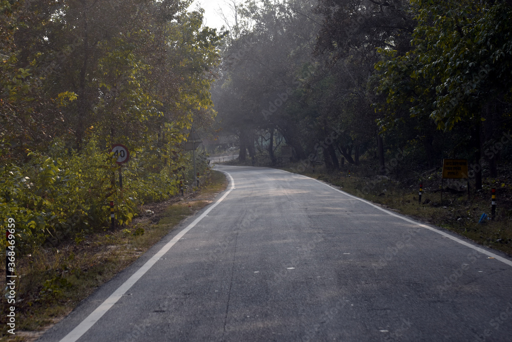 Fototapeta premium Beautiful picture of jungle road