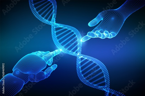Wireframe DNA sequence molecules structure mesh. Hands of robot and human touching on DNA connecting in virtual interface on future. Artificial intelligence technology concept. Vector illustration.