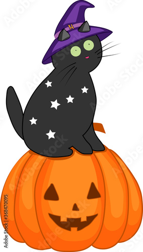Cute black cat in a witch hat sitting on a Halloween pumpkin.