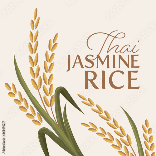 paddy rice premium organic natural product banner logo vector design