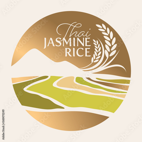 paddy rice premium organic natural product banner logo vector design