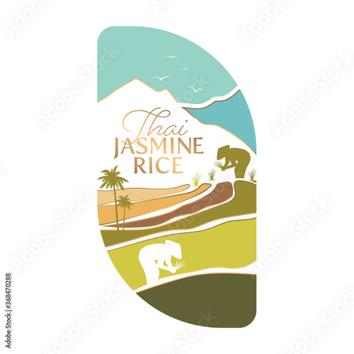 paddy rice premium organic natural product banner logo vector design