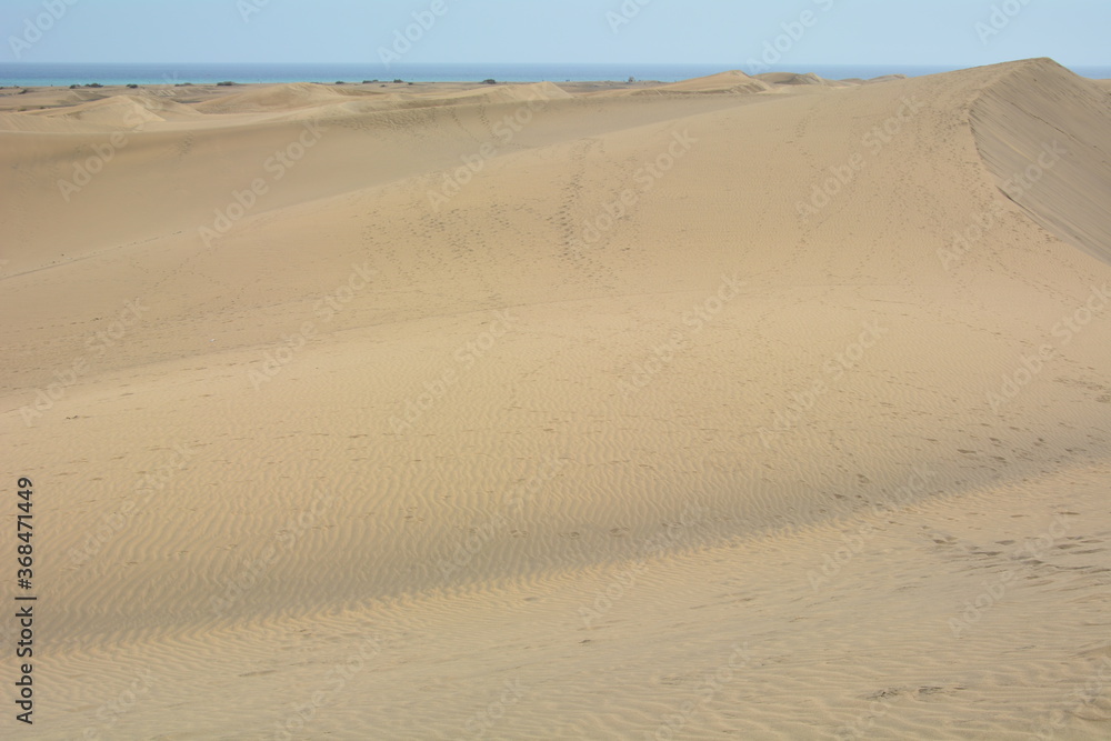 sand dunes in gran canaria sand dunes in gran canaria