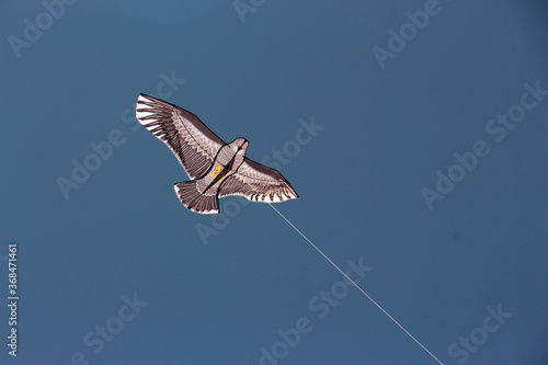 Kites used for chasing flocks of birds, flying fake bird.