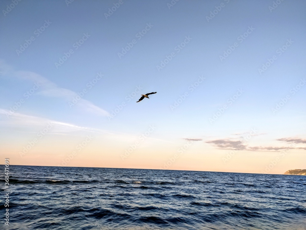 Gabbiani in volo sul mare in un tramonto estivo

