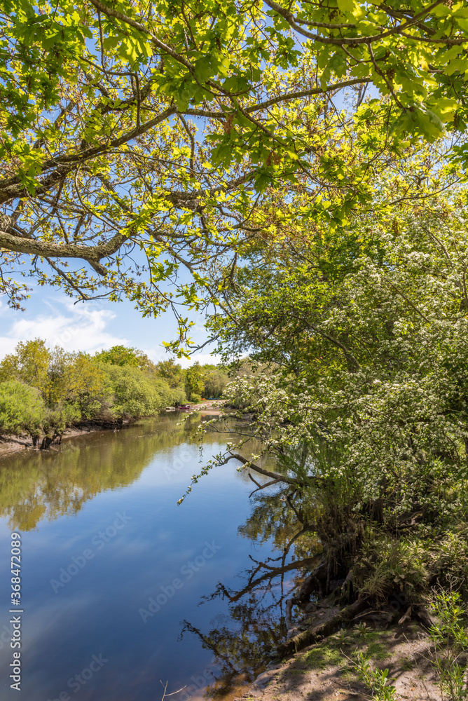 BASSIN D'ARCACHON (France), la rivière Leyre