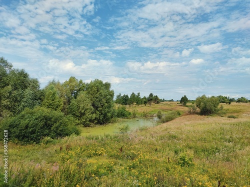 marshland in a field among grass and trees against a blue cloudy sky