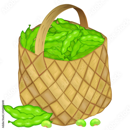 Full wicker basket with beans on a white background. Set of fresh greens salad. Vector illustration