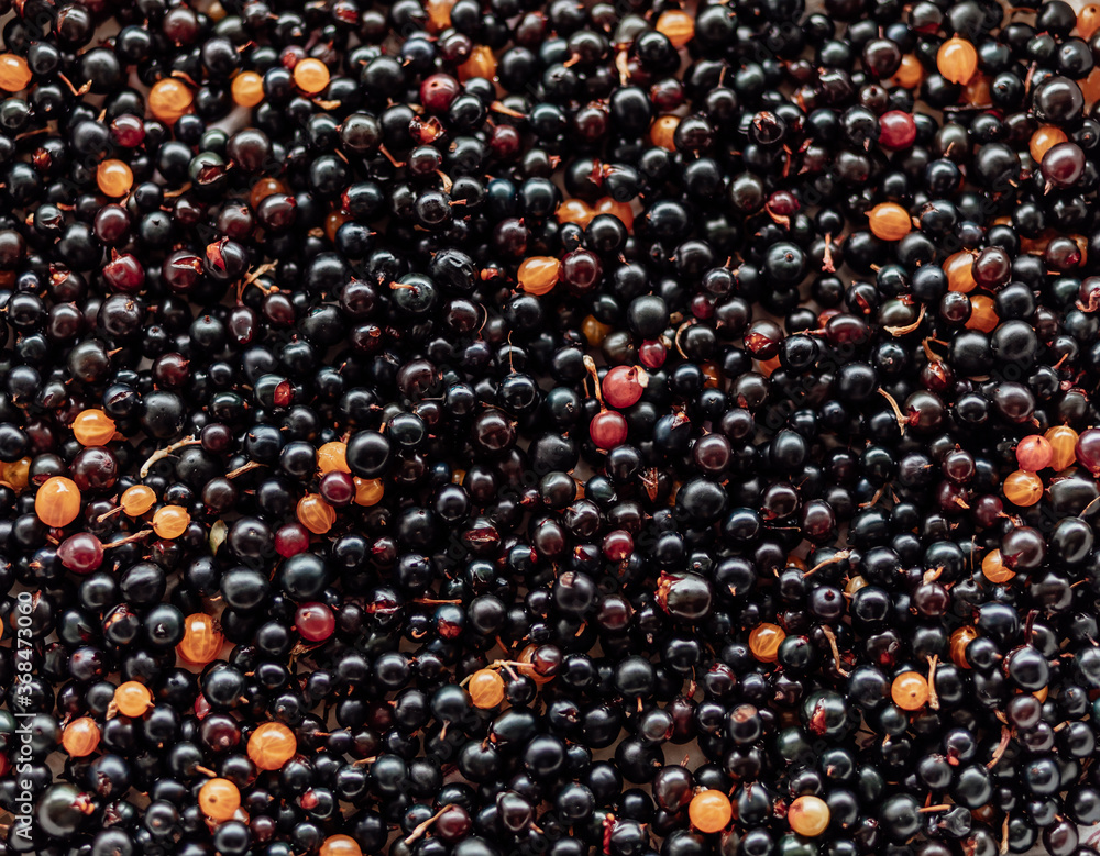 Background of currant berries in a basket. Delicious food, dessert. vitamin C Background of currant berries in a basket. Delicious food, dessert. vitamin C