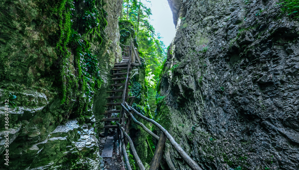 Fototapeta premium Wooden stairway in the mountain, dangerous place. Extreme travelling at the mossy forest. Pathway in a rock rift.