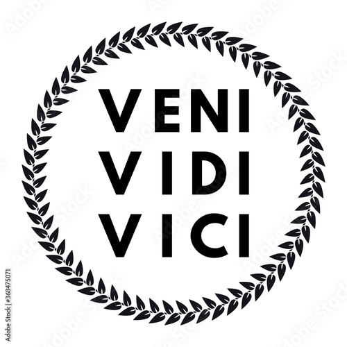 Latin quote Veni, vidi, vici on stone background, 3d