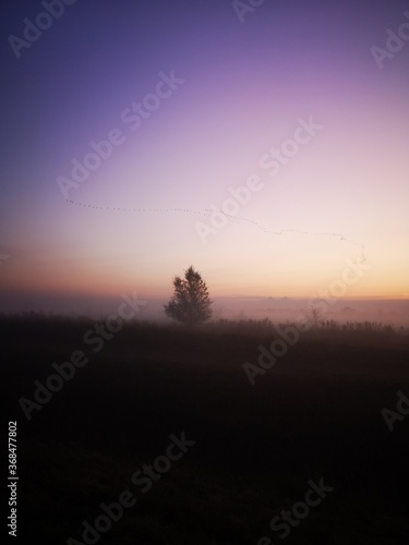 mist sunrise 