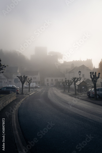 Castle of Montrichard in the mist
