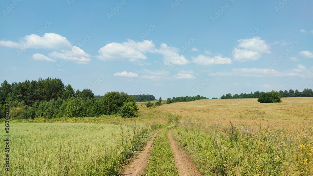 Fototapeta premium panoramic landscape with a road in a field against a blue sky with clouds