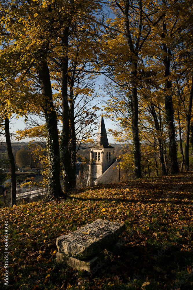 Autumn trees in Montrichard