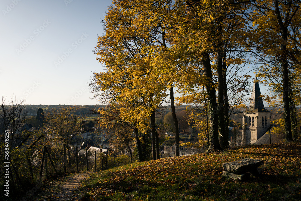 Autumn trees in Montrichard