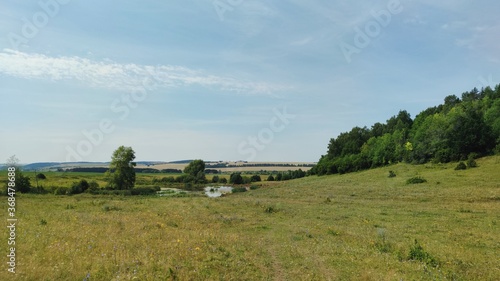 panoramic scene with green field near the forest against the blue sky